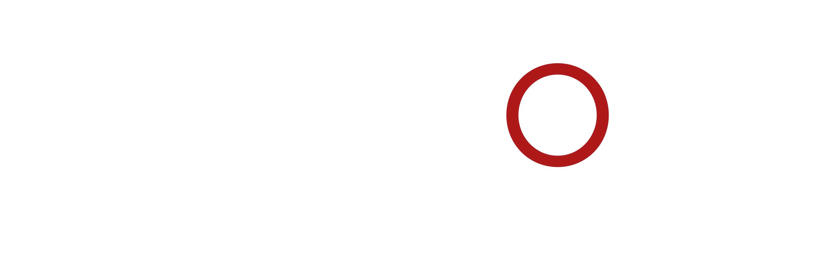 netzpoint • Agentur für Digitale Medien